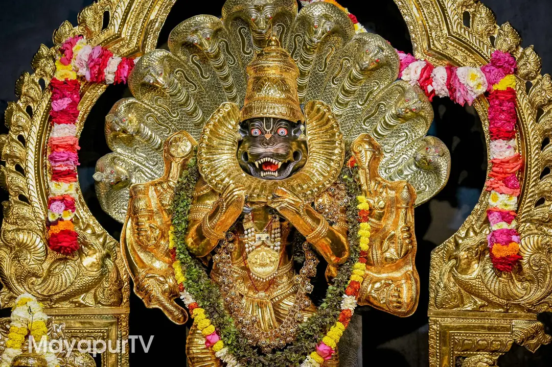 Narsimha Chaturdashi Celebration